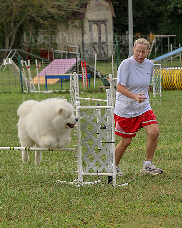 AGILITY-2105
