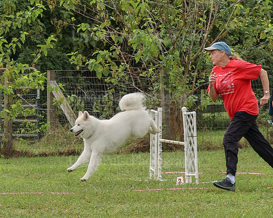 AGILITY-2106