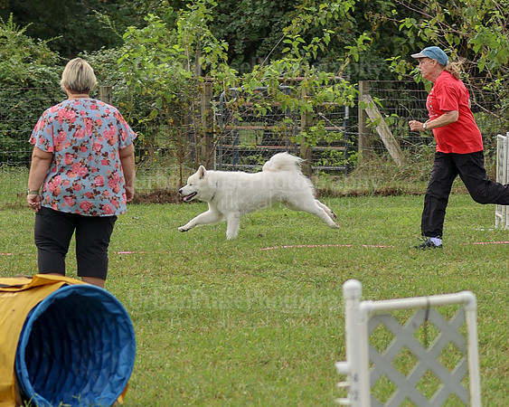 AGILITY-2107