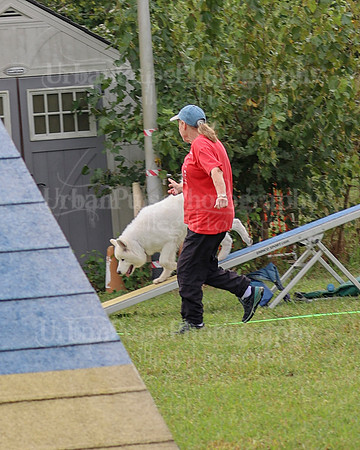 AGILITY-2108