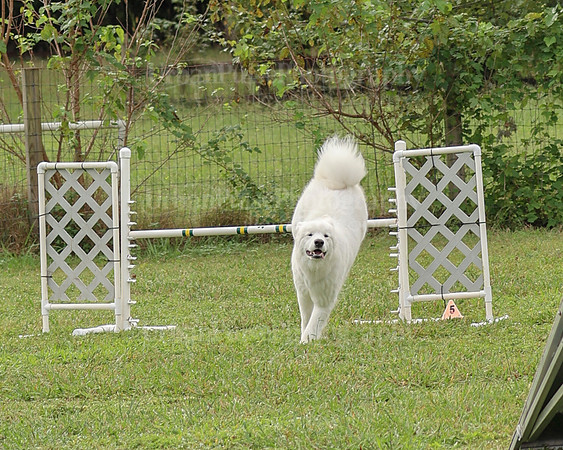 AGILITY-2109