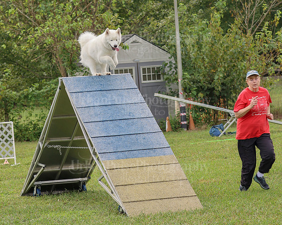 AGILITY-2111