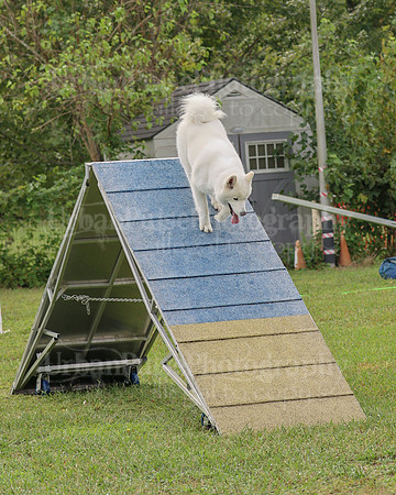 AGILITY-2112