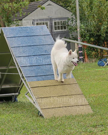 AGILITY-2113