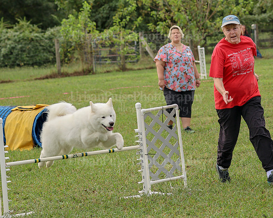 AGILITY-2114