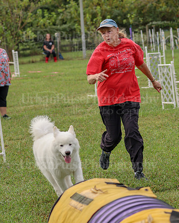 AGILITY-2115