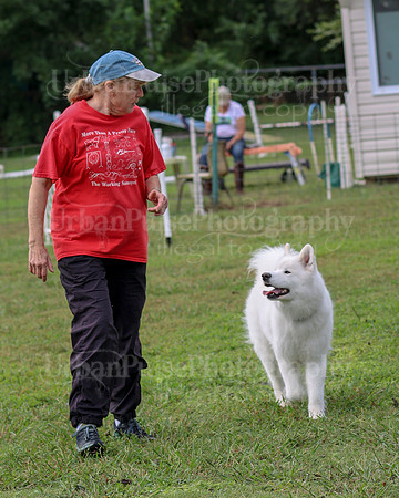 AGILITY-2116