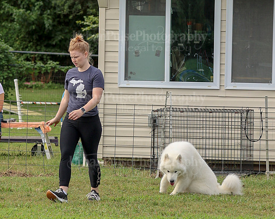 AGILITY-2117
