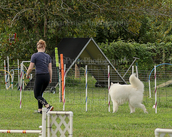 AGILITY-2118