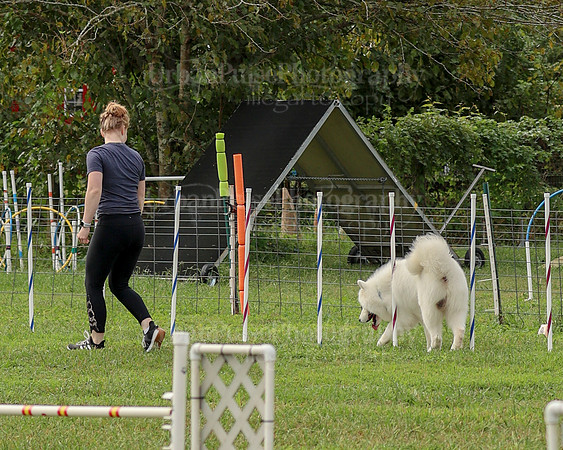 AGILITY-2119