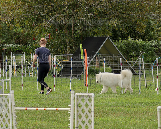 AGILITY-2120