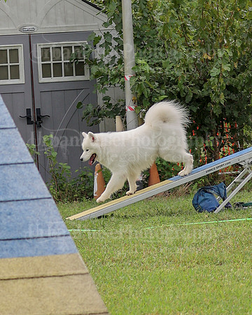 AGILITY-2123