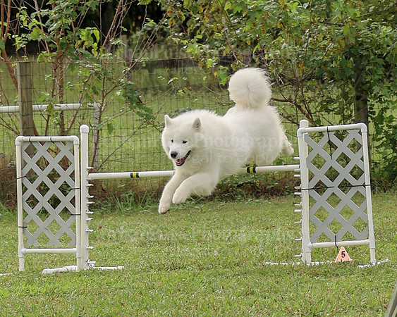 AGILITY-2124