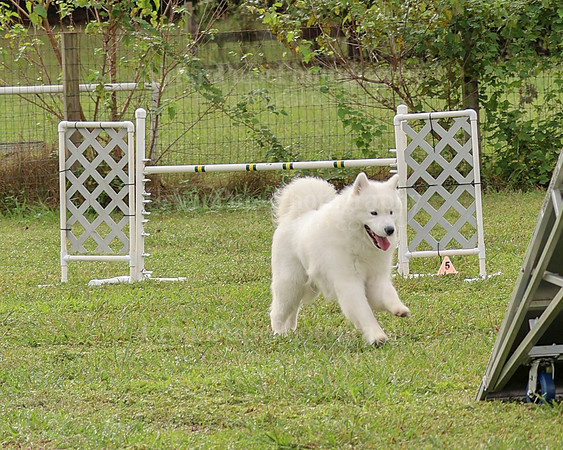 AGILITY-2125