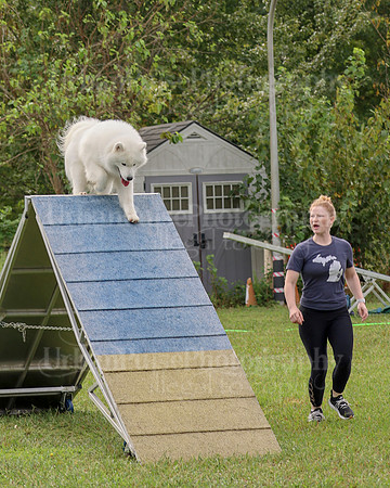 AGILITY-2126