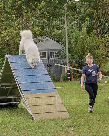AGILITY-2127