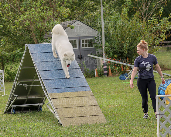 AGILITY-2128