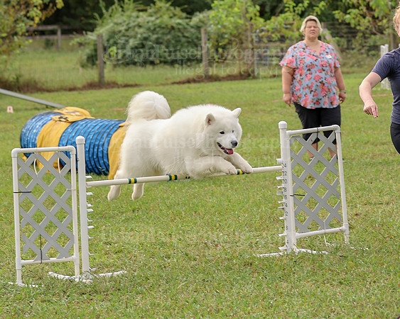 AGILITY-2129