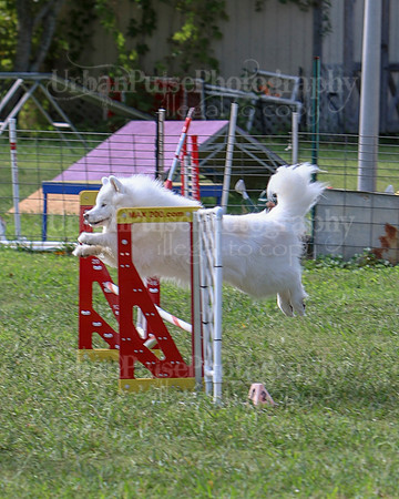AGILITY-2147
