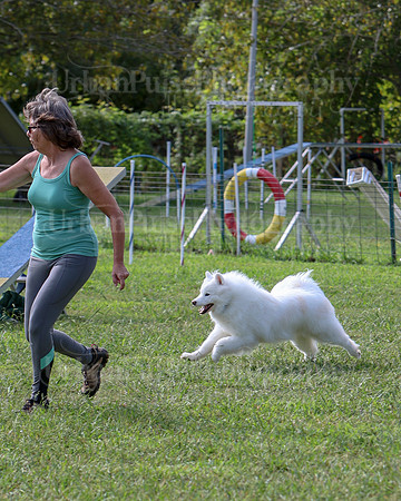 AGILITY-2148
