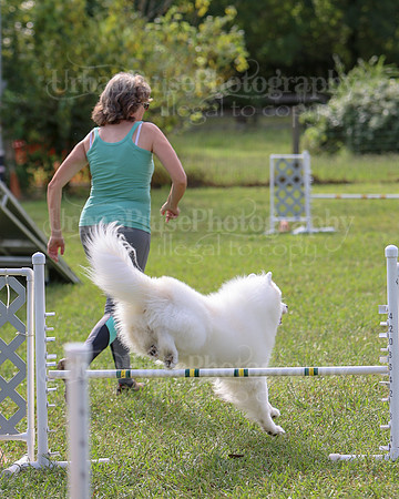 AGILITY-2158