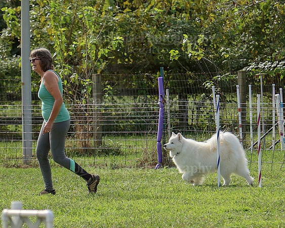 AGILITY-2161