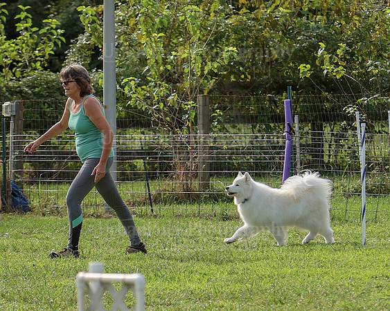 AGILITY-2162