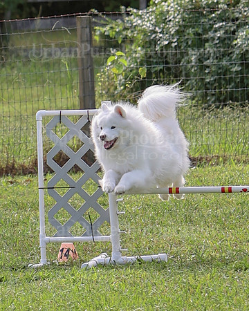 AGILITY-2163