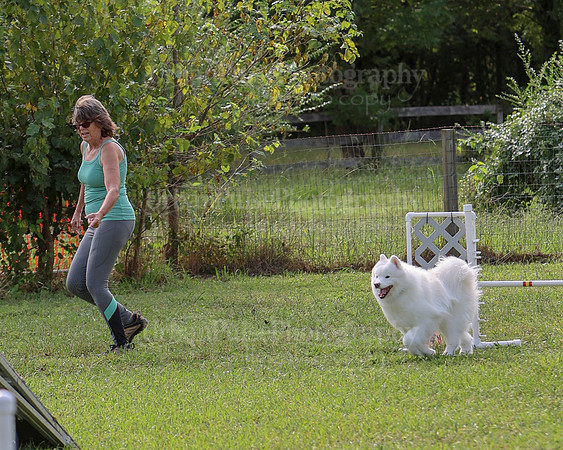 AGILITY-2164