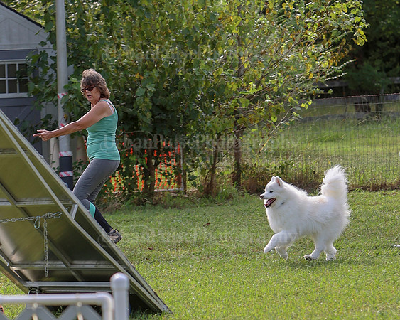 AGILITY-2165