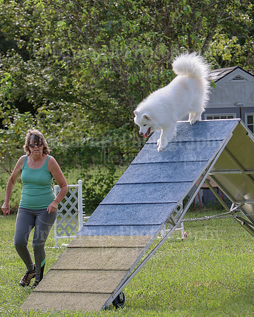 AGILITY-2170