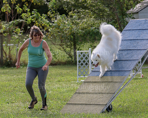 AGILITY-2171
