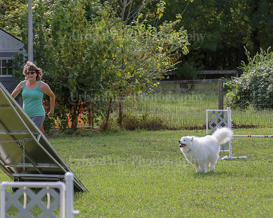 AGILITY-2167