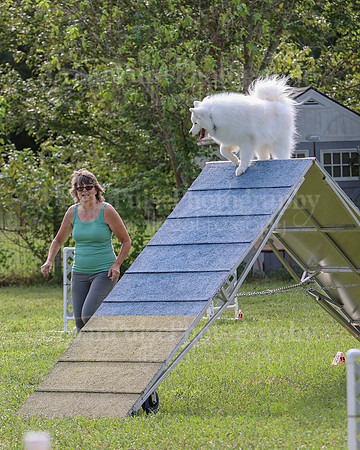AGILITY-2169