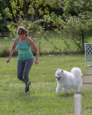 AGILITY-2172