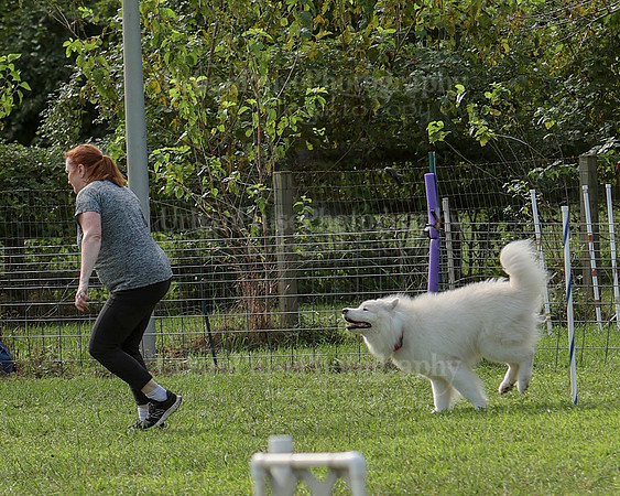 AGILITY-2178