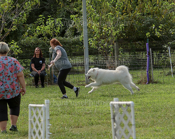 AGILITY-2179