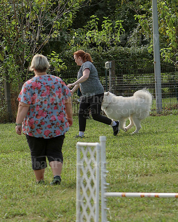 AGILITY-2180
