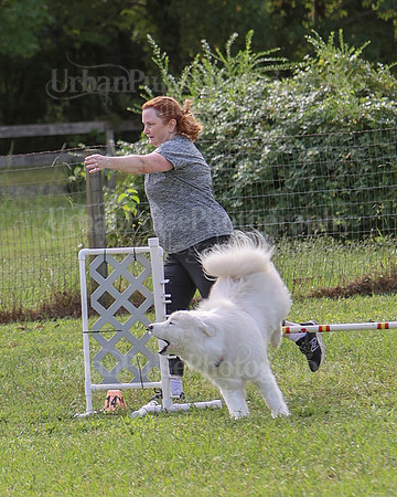 AGILITY-2183