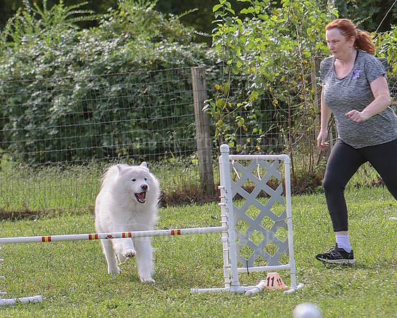 AGILITY-2182