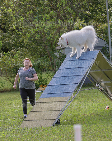 AGILITY-2187