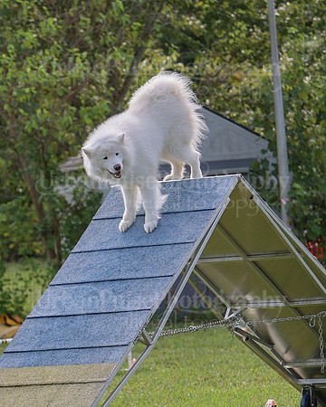 AGILITY-2189