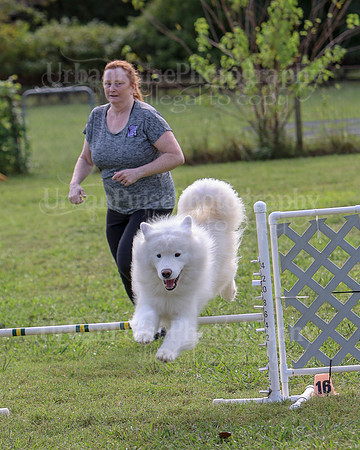 AGILITY-2191