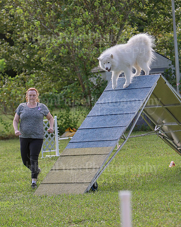 AGILITY-2188