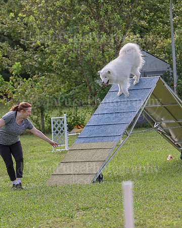 AGILITY-2190