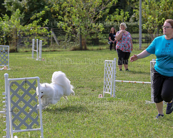 AGILITY-2192