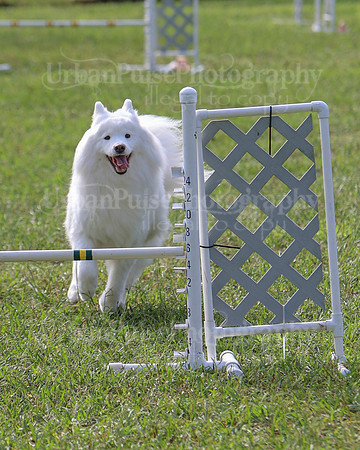 AGILITY-2193