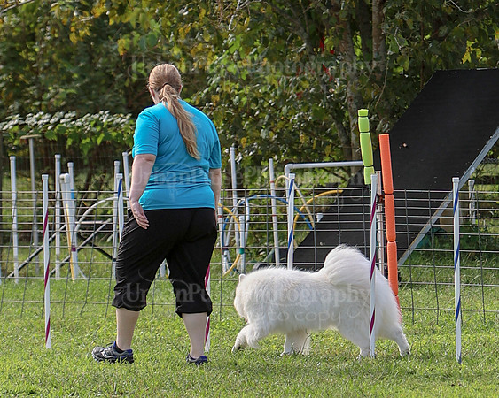 AGILITY-2197