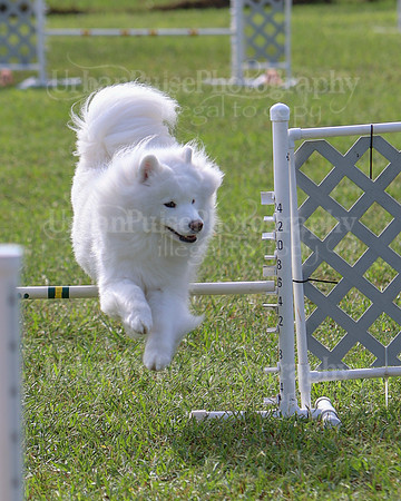 AGILITY-2194