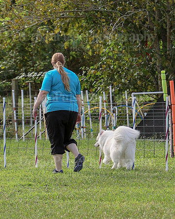 AGILITY-2198